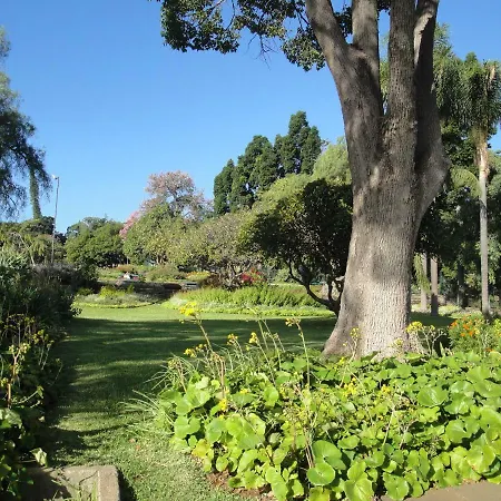 Сasa de vacaciones Violeta House Funchal (Madeira)