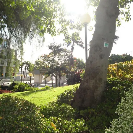 Violeta House فونشال