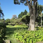 Dom wakacyjny Violeta House Funchal (Madeira)
