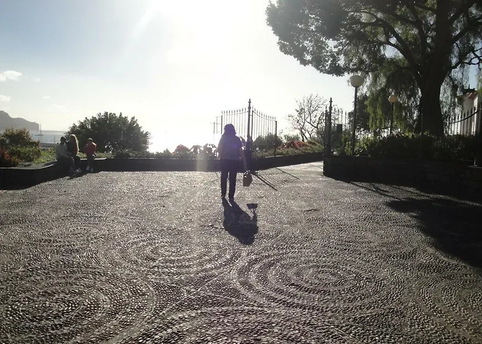 Дом отдыха Violeta House Фуншал