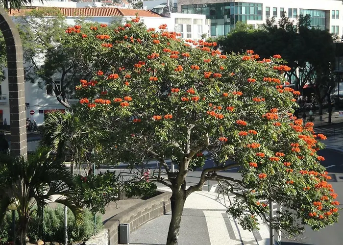 Violeta House 펜션 푼샬