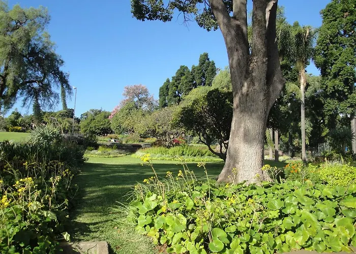 Дом отдыха Violeta House Фуншал