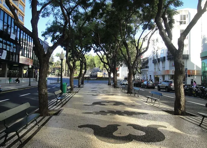 Violeta House Дом отдыха Фуншал