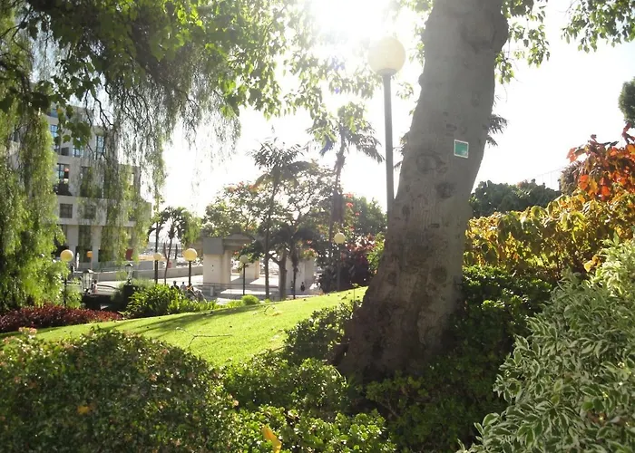 Violeta House 푼샬